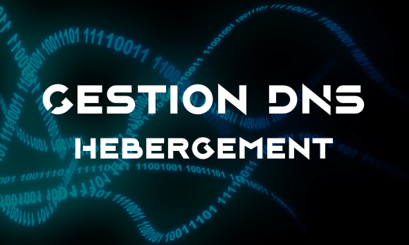 Gestion DNS et Hébergement Auxiliaire